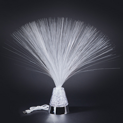 Fiber Optic Lamp